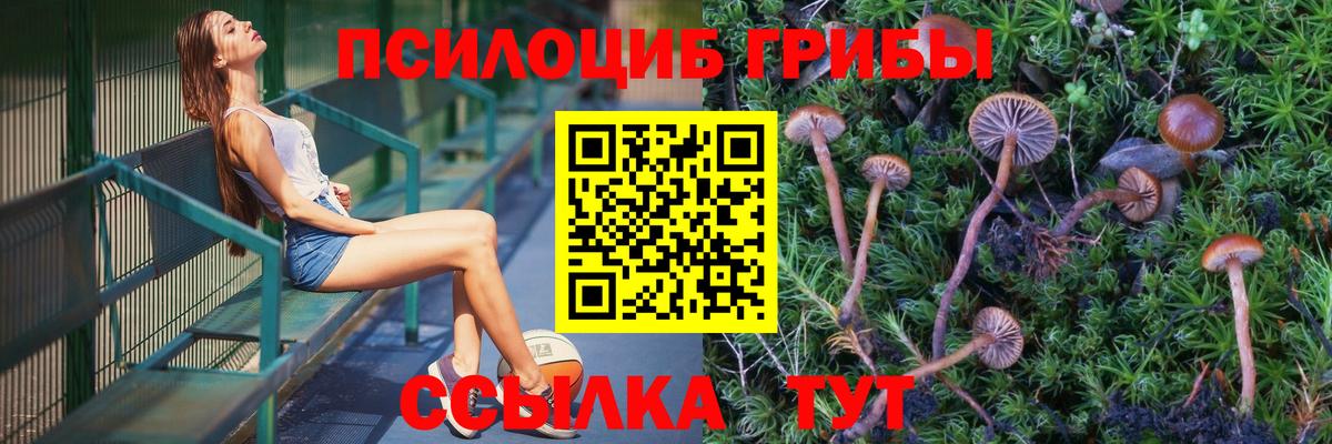 Псилоцибиновые грибы прущие грибы  Галлюциногенные грибы Psilocybe  где можно купить   Вход с VPN  Кстово 