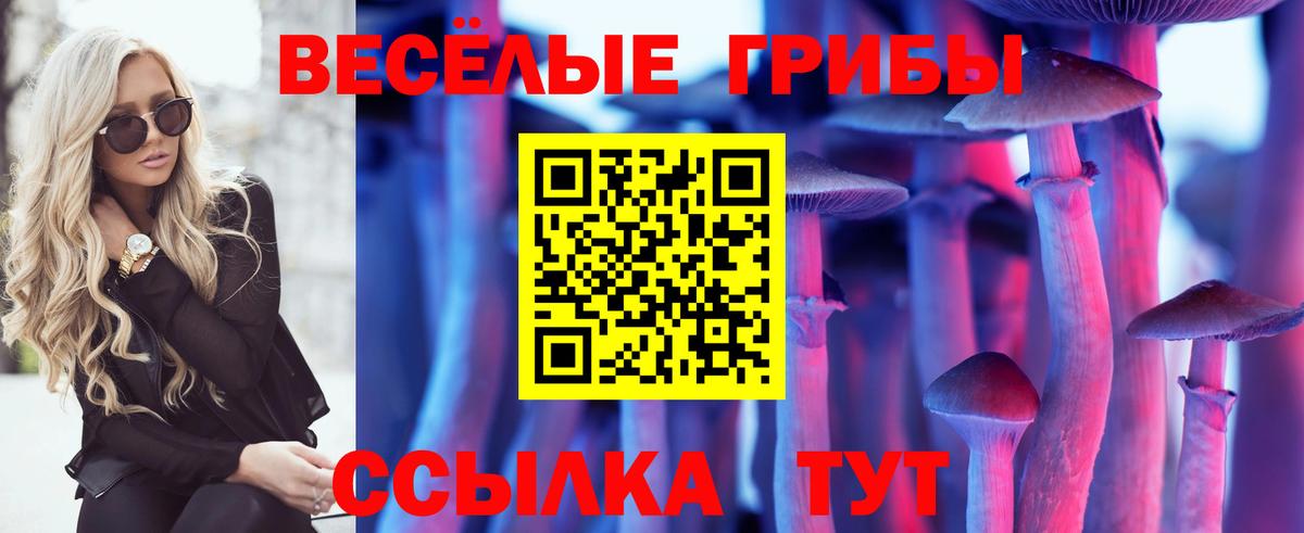 Меф Кстово