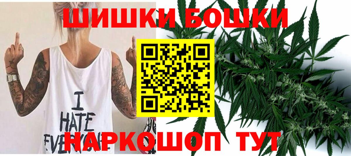 Каннабис сатива Кстово